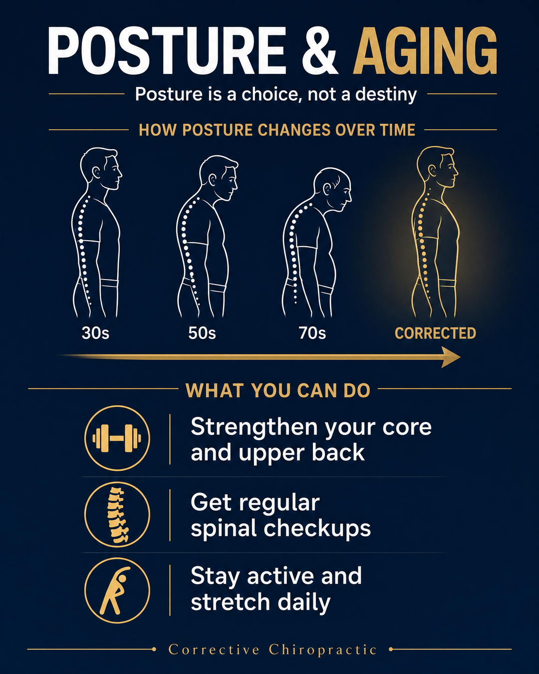 Posture & Aging infographic — how posture changes over time